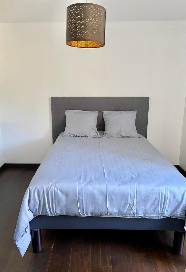 Appart Cosy Proche Du Lac Avec Terrasse Annecy Dış mekan fotoğraf